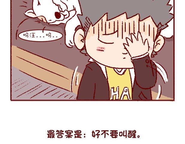 🍜有宠百科 第121话 第22页