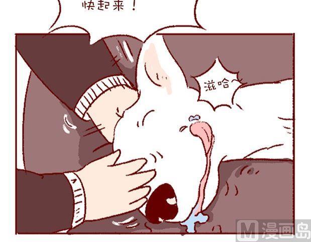 🍜有宠百科 第121话 第24页