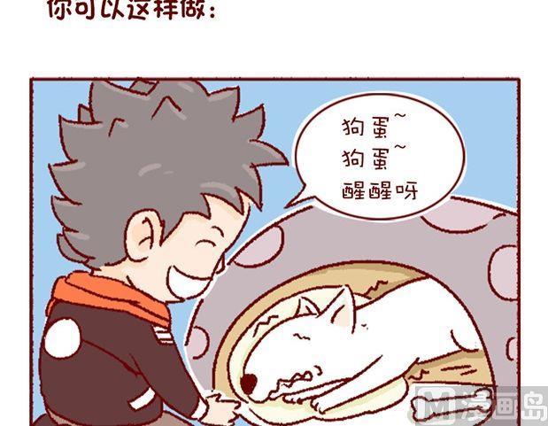 🍜有宠百科 第121话 第27页