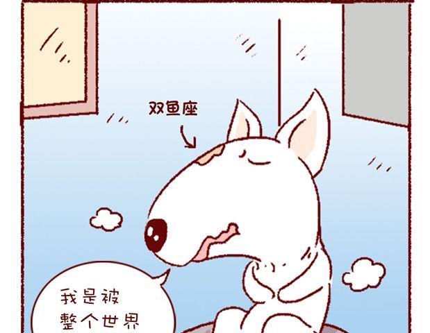 🍜有宠百科 第121话 第29页