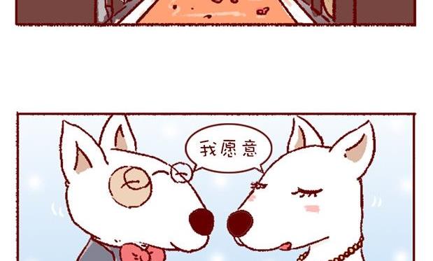 🍜有宠百科 第121话 第5页