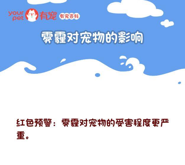 🍜有宠百科 第123话 第1页