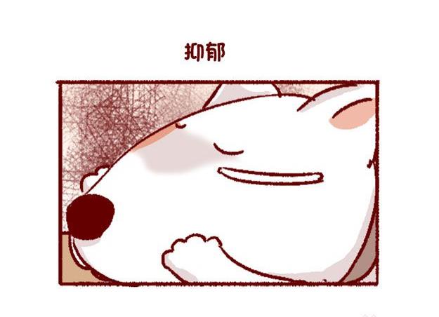 🍜有宠百科 第123话 第12页