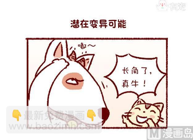 🍜有宠百科 第123话 第13页