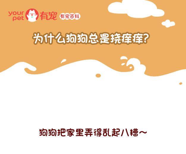 🍜有宠百科 第125话 第1页