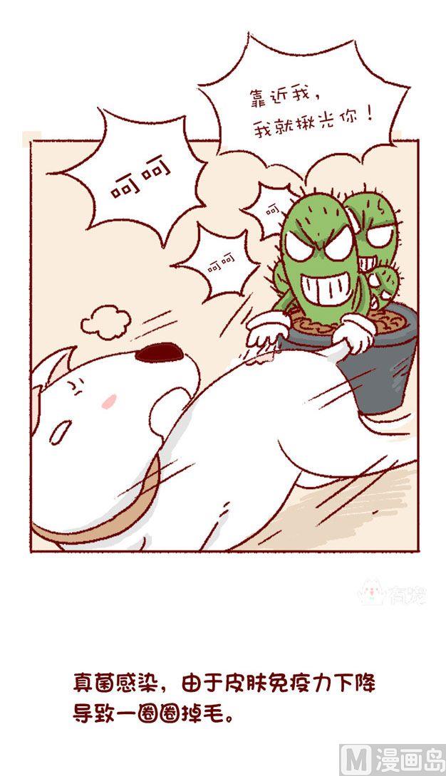🍜有宠百科 第125话 第12页