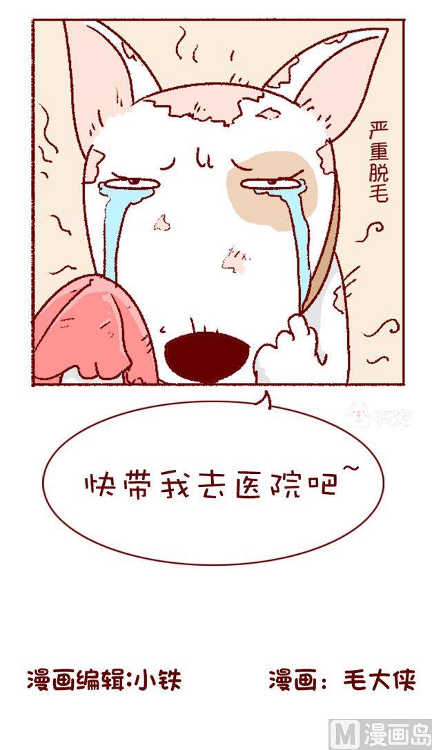 🍜有宠百科 第125话 第15页