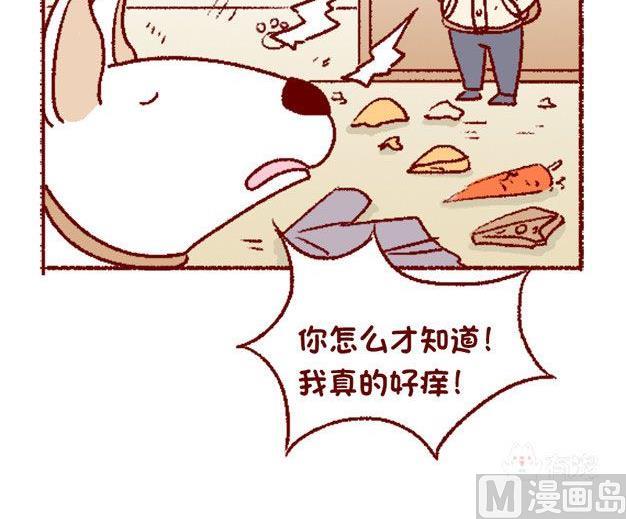 🍜有宠百科 第125话 第3页