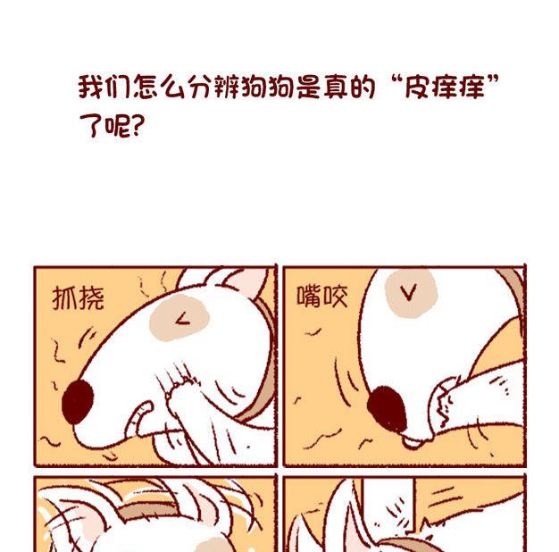🍜有宠百科 第125话 第4页