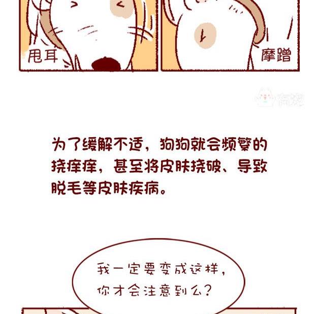 🍜有宠百科 第125话 第5页