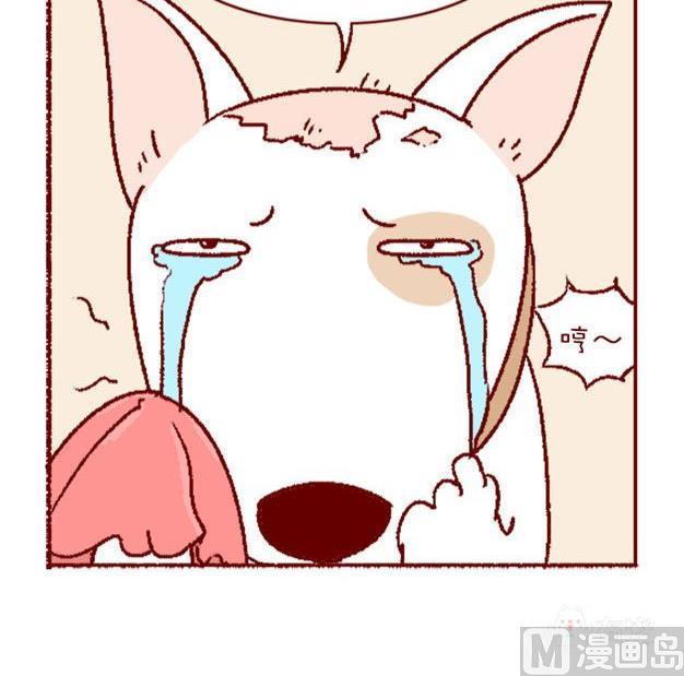 🍜有宠百科 第125话 第6页