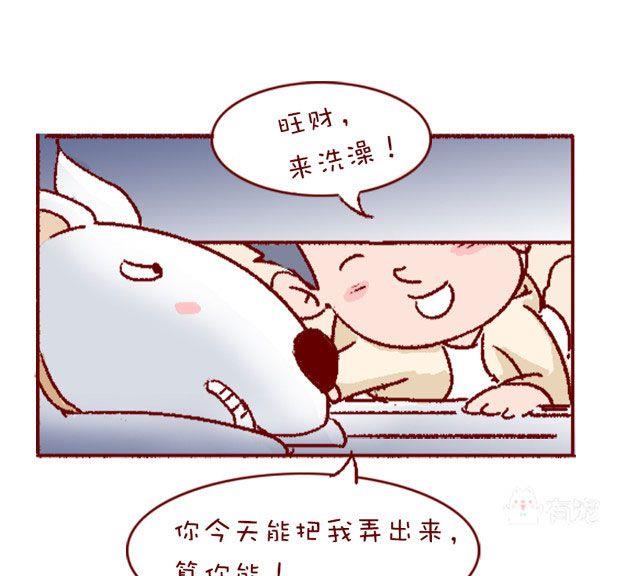 🍜有宠百科 第125话 第8页