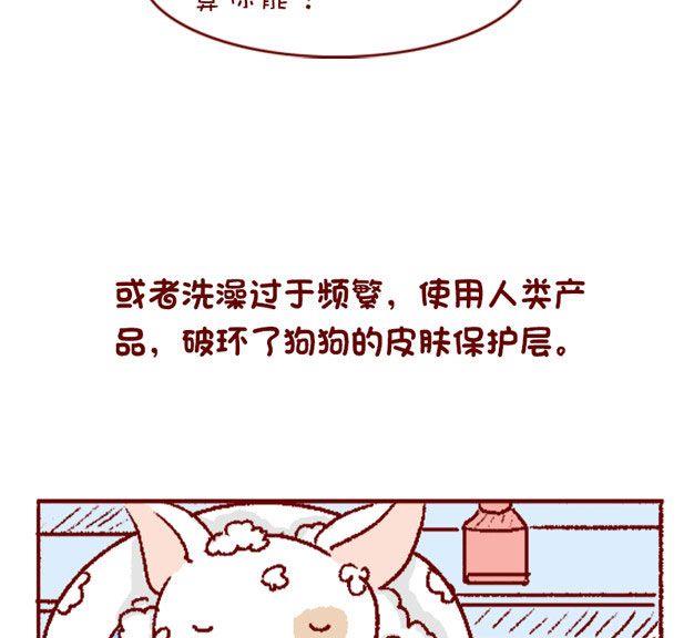 🍜有宠百科 第125话 第9页