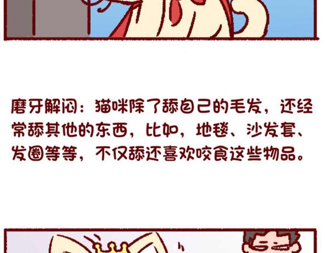 🍜有宠百科 第129话 第11页