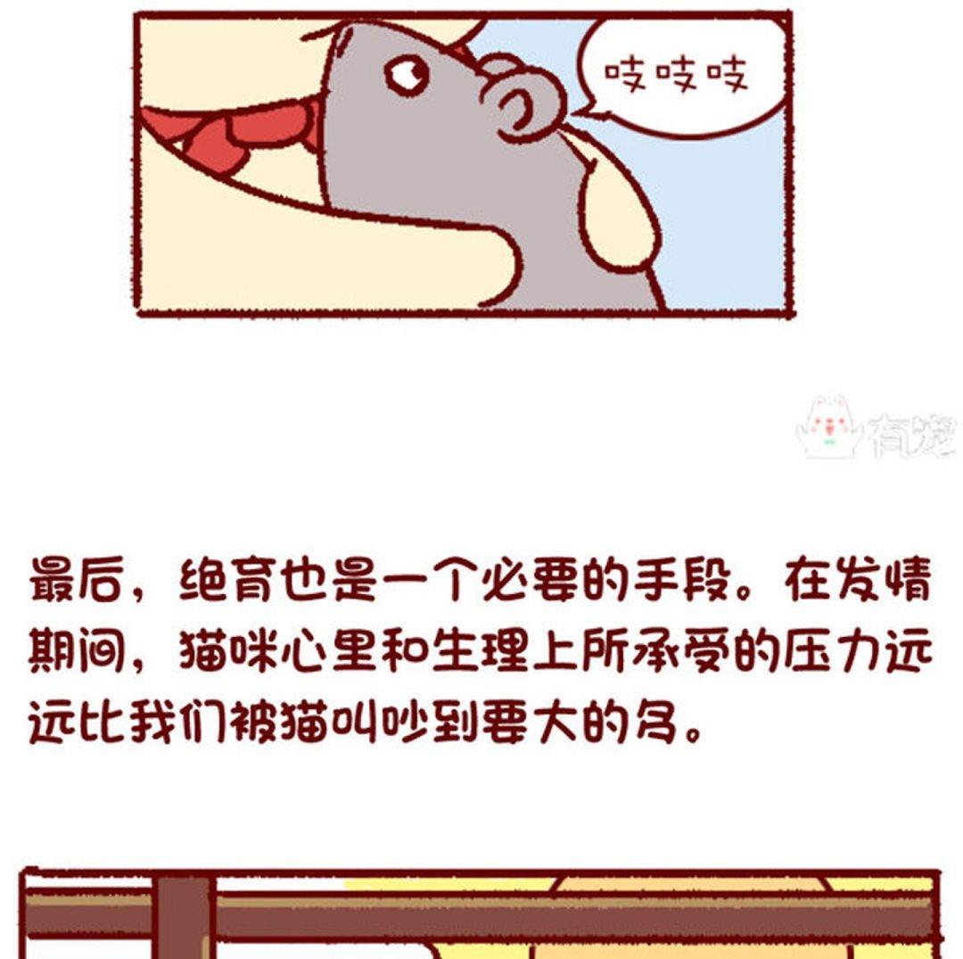 🍜有宠百科 第129话 第19页