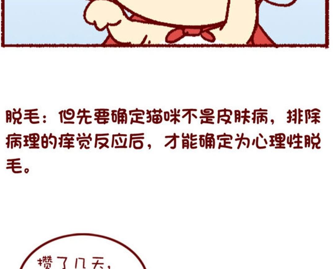 🍜有宠百科 第129话 第8页