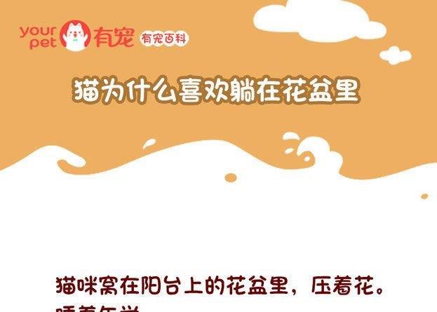 🍜有宠百科 第131话 第1页