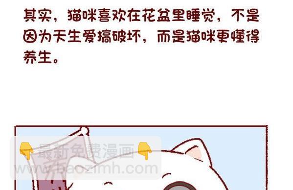 🍜有宠百科 第131话 第11页