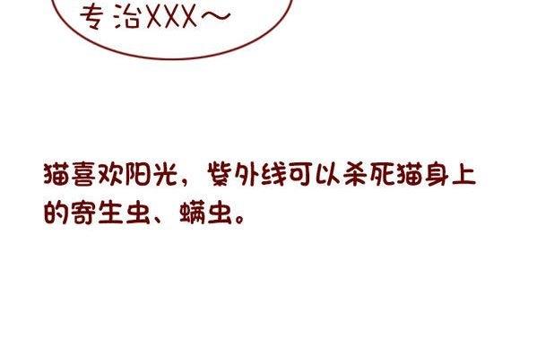 🍜有宠百科 第131话 第13页