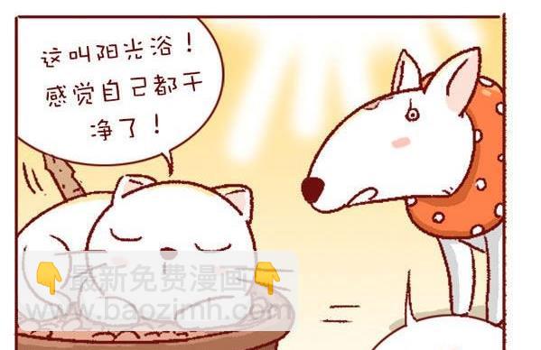 🍜有宠百科 第131话 第14页