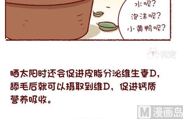 🍜有宠百科 第131话 第15页