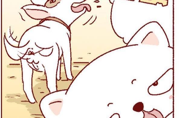 🍜有宠百科 第131话 第17页