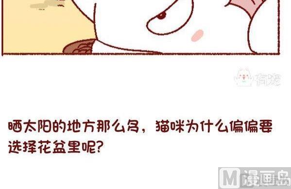 🍜有宠百科 第131话 第18页