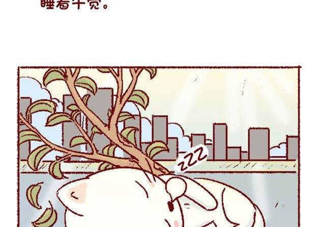 🍜有宠百科 第131话 第2页