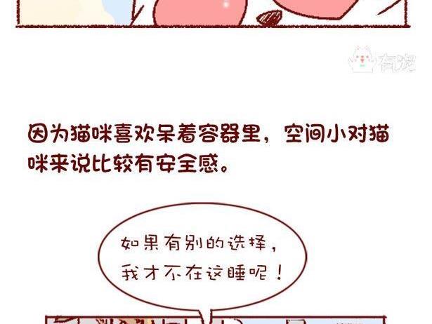 🍜有宠百科 第131话 第20页