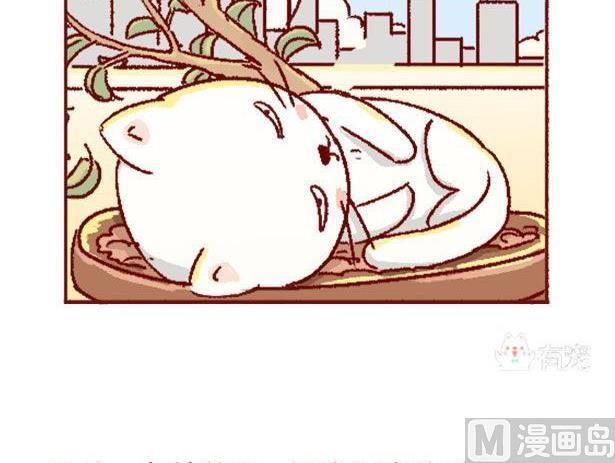 🍜有宠百科 第131话 第21页