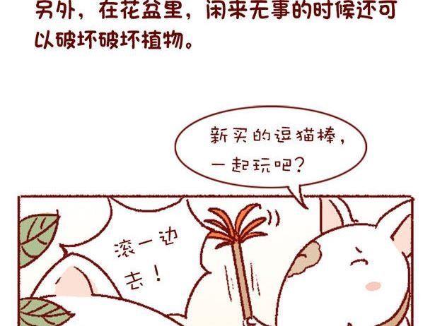 🍜有宠百科 第131话 第22页