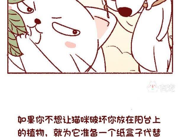 🍜有宠百科 第131话 第23页