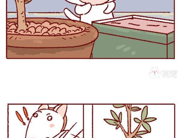🍜有宠百科 第131话 第25页