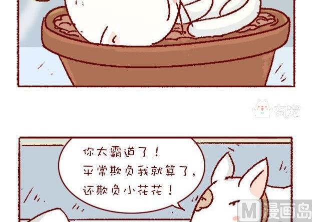 🍜有宠百科 第131话 第3页