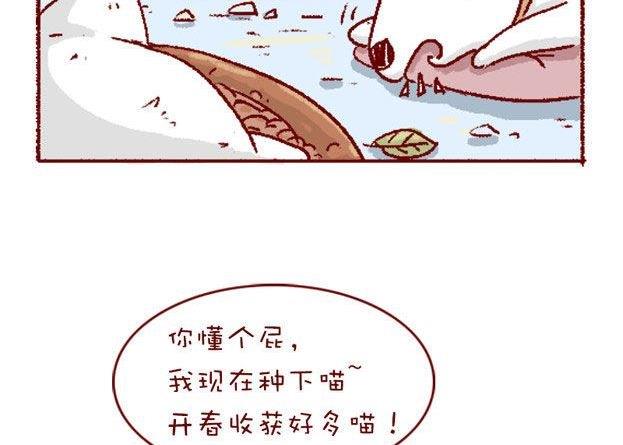 🍜有宠百科 第131话 第4页