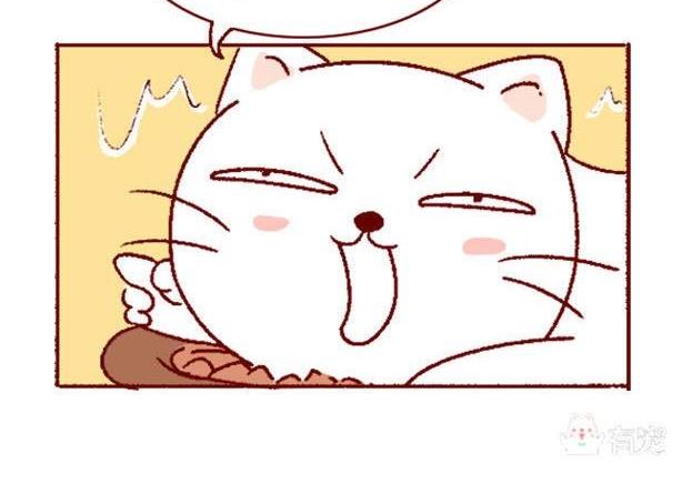 🍜有宠百科 第131话 第5页