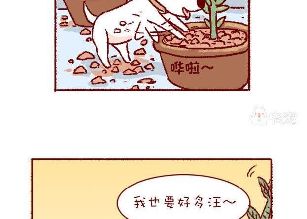 🍜有宠百科 第131话 第8页