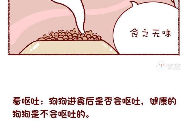 🍜有宠百科 第133话 第10页