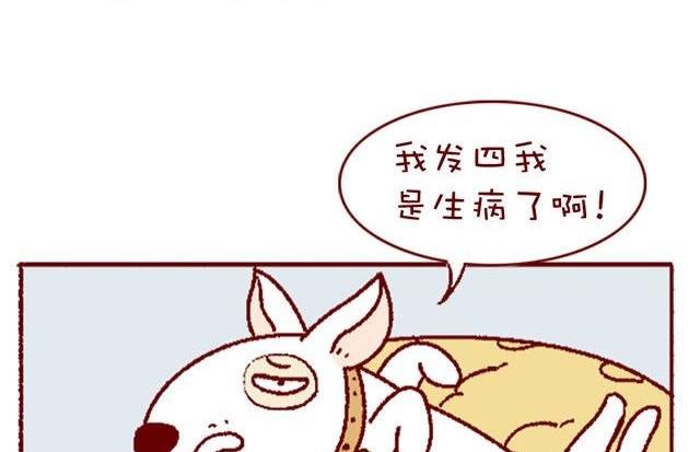 🍜有宠百科 第133话 第11页
