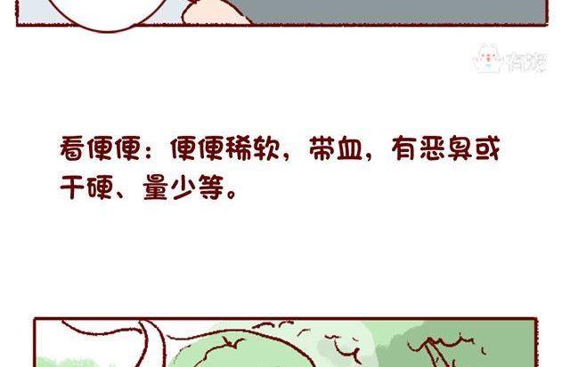 🍜有宠百科 第133话 第13页