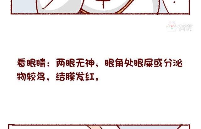 🍜有宠百科 第133话 第16页