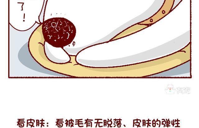🍜有宠百科 第133话 第19页