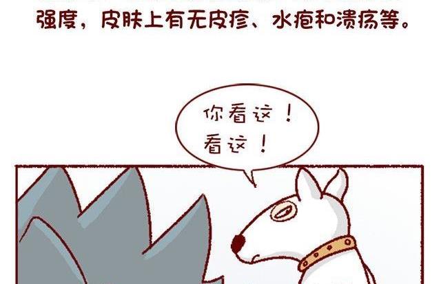 🍜有宠百科 第133话 第20页