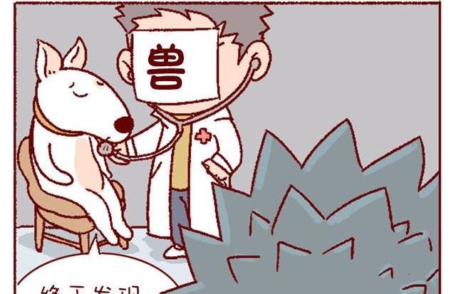 🍜有宠百科 第133话 第23页