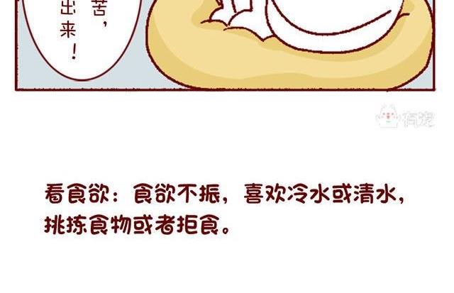 🍜有宠百科 第133话 第8页