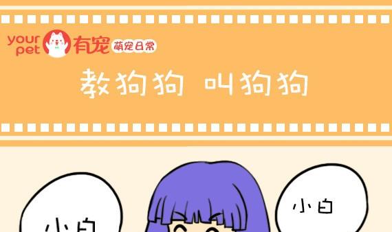 🍜有宠百科 第15话 第1页