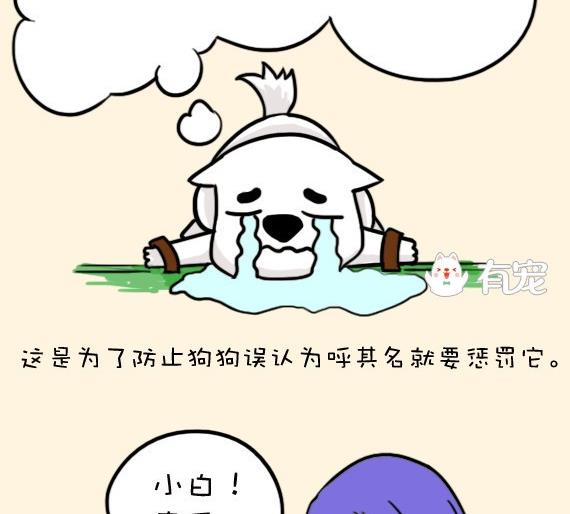 🍜有宠百科 第15话 第10页