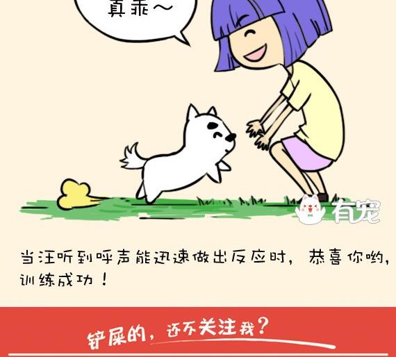 🍜有宠百科 第15话 第11页