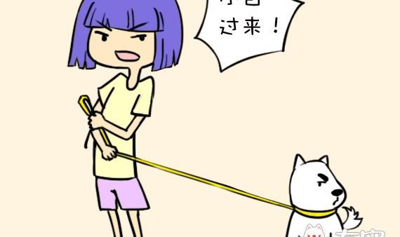 🍜有宠百科 第15话 第5页