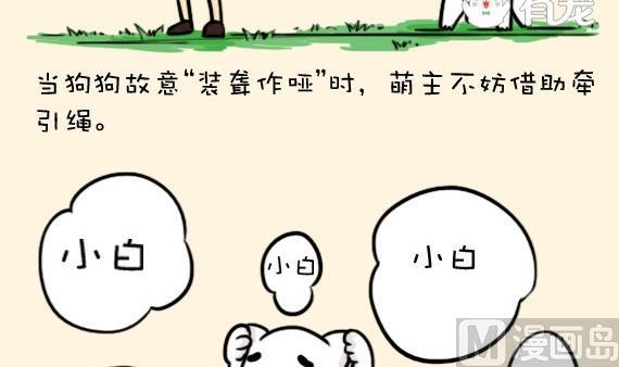 🍜有宠百科 第15话 第6页